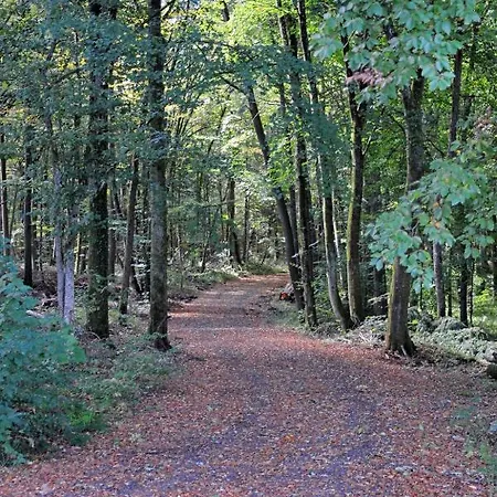 Сasa de vacaciones Holiday Waldferienpark Gerolstein-2 *